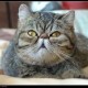 用户名：kat***