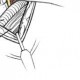 用户名：fis***