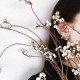 用户名：栗***